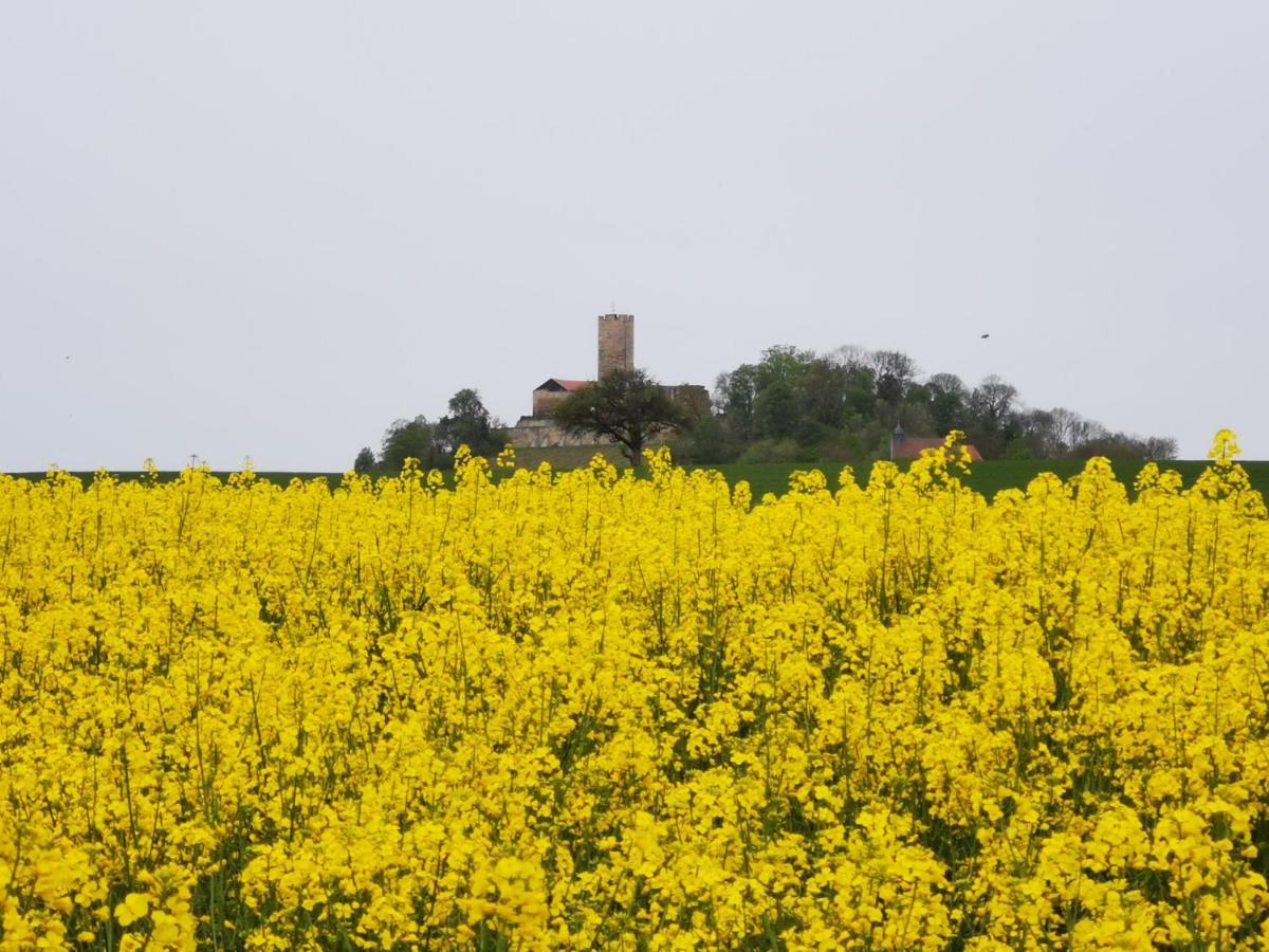 Im Herzen Des Kraichgaus 1 Ostringen Kültér fotó