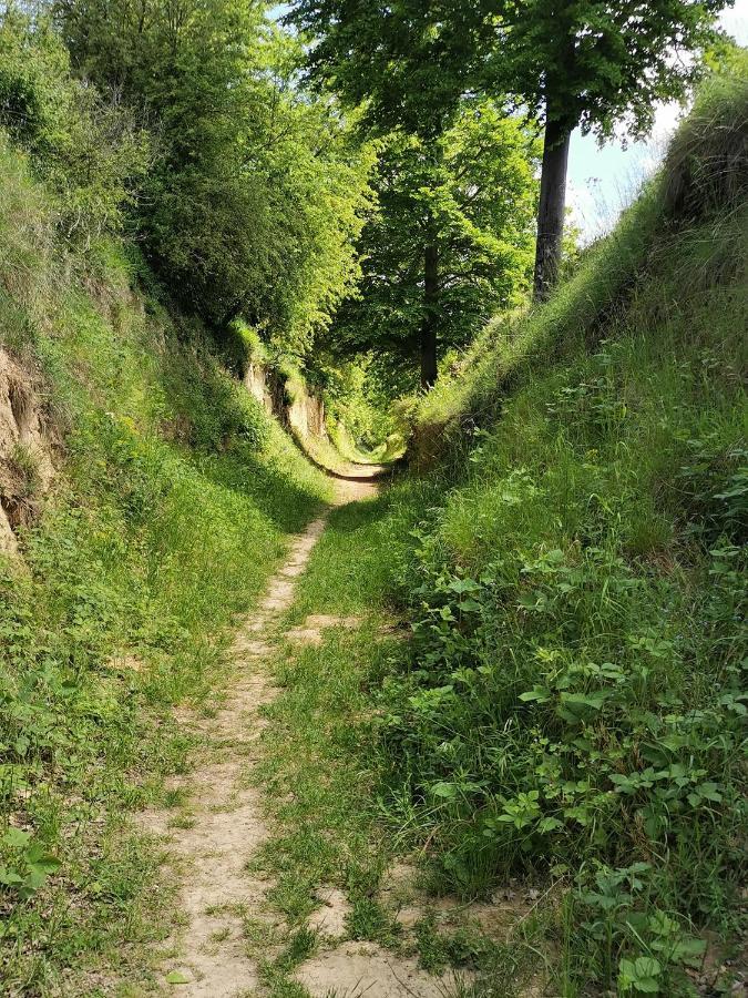 Im Herzen Des Kraichgaus 1 Ostringen Kültér fotó